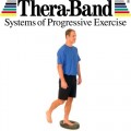 Thera-Band Stability Trainer Siyah Renk